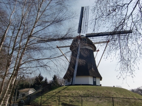 Gennep-Heijen NL : Diekendaal an der N271, Gerardamühle, Oktogonale Wallholländermühle